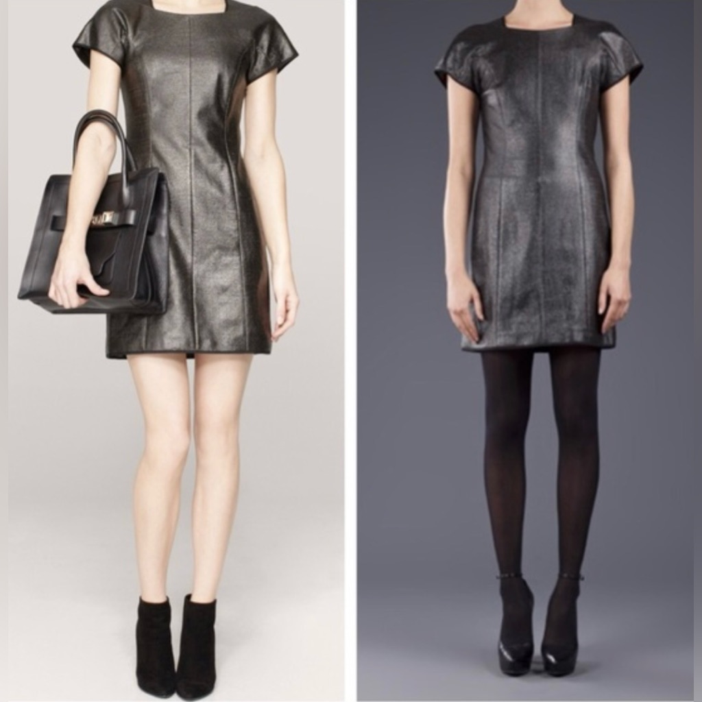 Theyskens’ Theory Dazai Dress In Metallic Pewter, Size 4